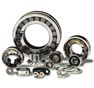 Ball & Roller Bearings